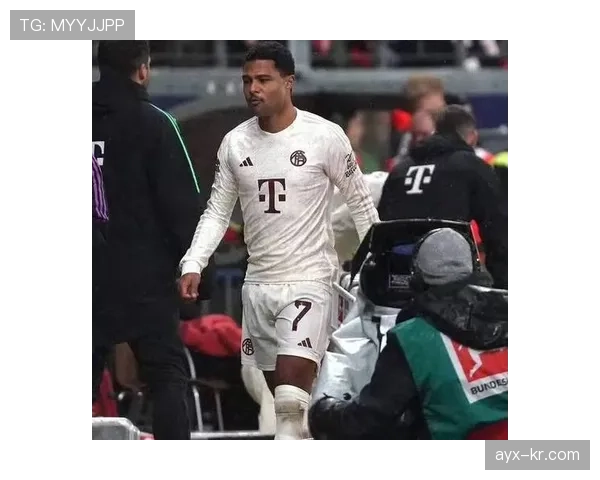 格纳布里边锋价值持续攀升，市场潜力与未来影响引关注